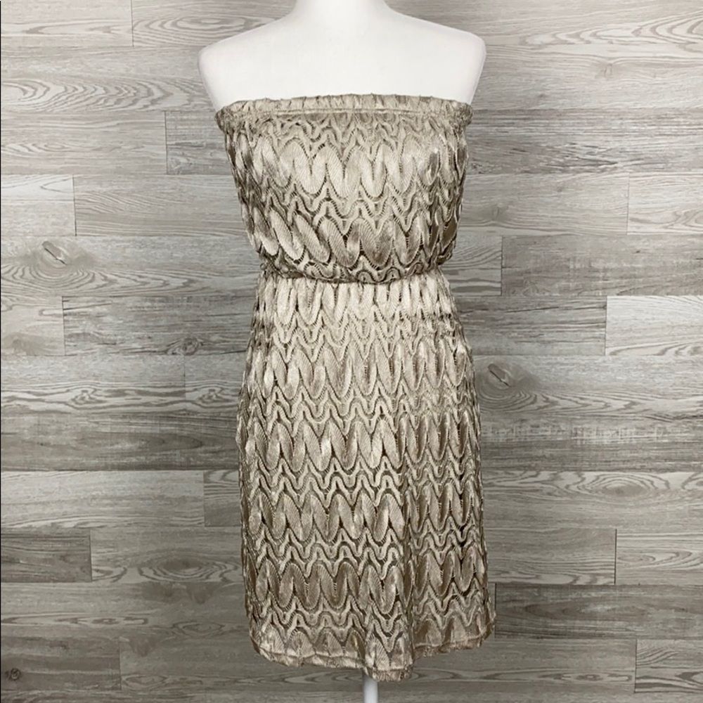 Nwt Studio Y Silver Tan Strapless Dress